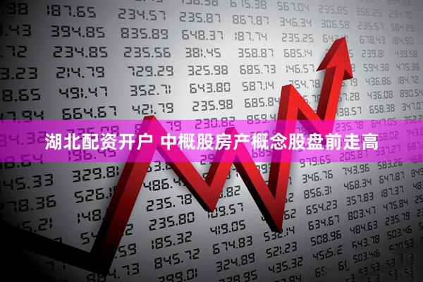 湖北配资开户 中概股房产概念股盘前走高