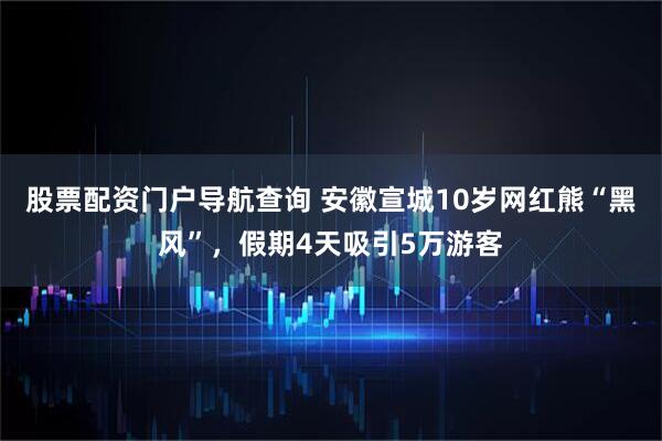 股票配资门户导航查询 安徽宣城10岁网红熊“黑风”，假期4天吸引5万游客